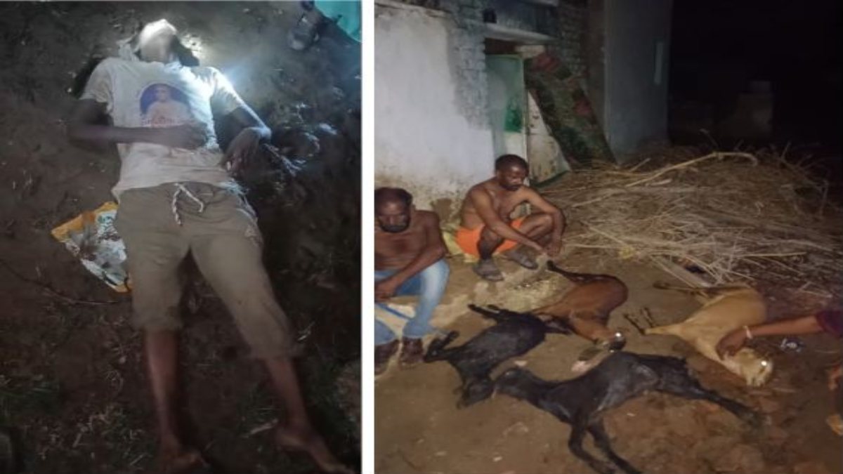 आसमानी आफतः श्योपुर में बिजली गिरने से किसान की मौत, ग्वालियर में मकान ढहने से 6 बकरियों की मौत