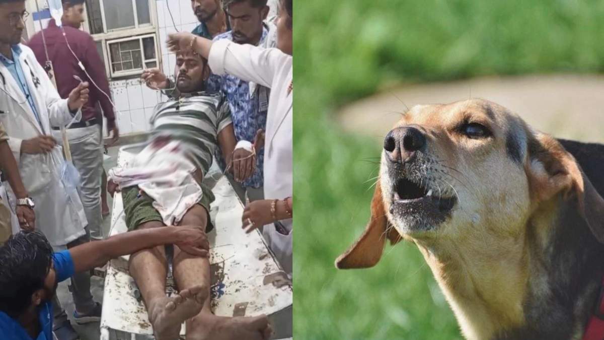 ‘तेरा कुत्ता नहीं दिख रहा’, कुत्ते के भौंकने पर बदमाशों ने मालिक को मारी गोली, अस्पताल में इलाज जारी