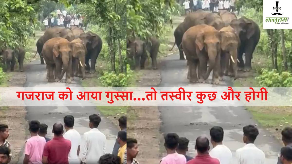 Alert: गांव की सड़क पर उतरा हाथियों का दल, वीडियो बनाने ग्रामीण जोखिम में डाल रहे जान…