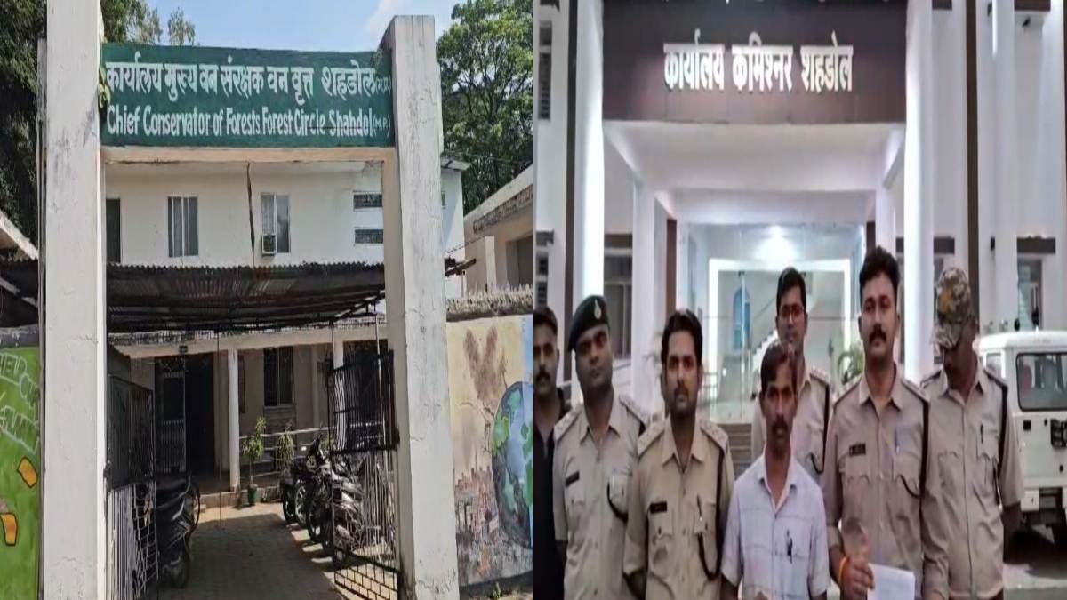 शहडोल वन विभाग में घमासान: CCF पर रेंजर से अभद्रता का आरोप, वनकर्मियों ने मुख्य वन संरक्षक के खिलाफ खोला मोर्चा