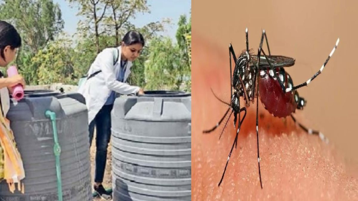 CG News : डेंगू से बचाव के लिए स्वास्थ्य विभाग चलाएगा विशेष अभियान, घर-घर जाकर लोगों को किया जाएगा जागरूक 