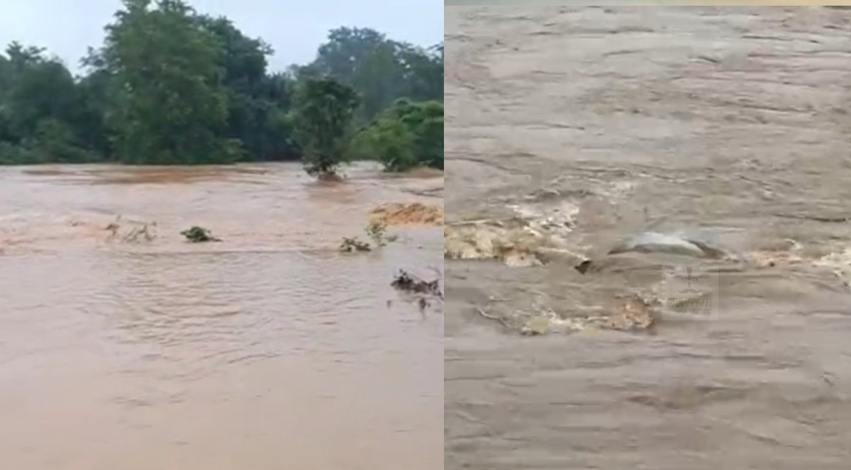 CG News : मैनी नदी में मिला महिला का शव, रेस्क्यू जारी 