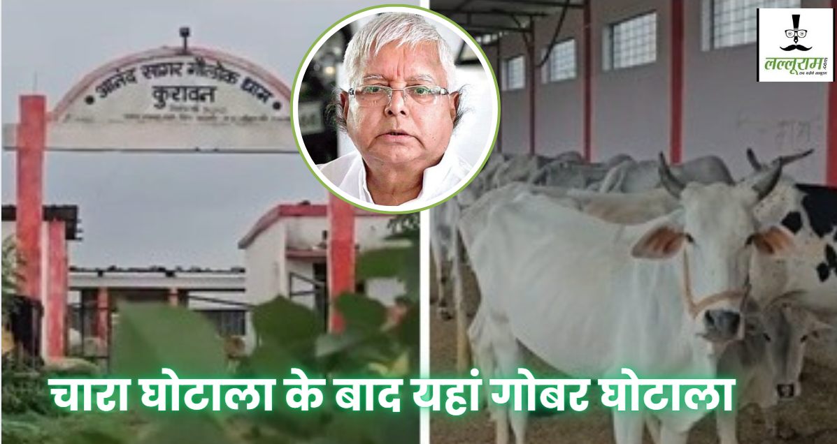 बिहार में चारा घोटाला के बाद MP में गोबर घोटाला: अनजान शख्स ने CEO को फोन कर की सरपंच की शिकायत, मामला खुला तो हैरान रह गए लोग 
