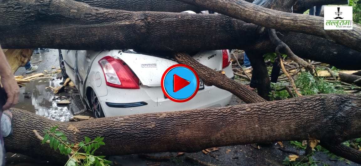 EXCLUSIVE: चंद सेकंड में धराशाई हुआ 50 साल पुराना पेड़, कार पर गिरा, बैंक कर्मचारी समेत तीन घायल