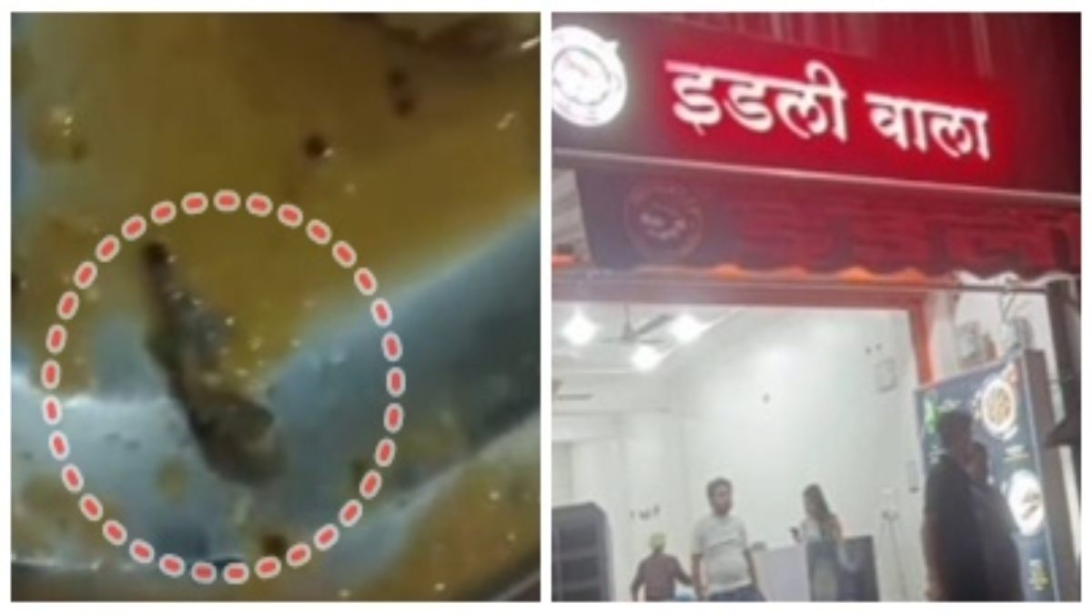 रेस्टोरेंट में परिवार ने ऑर्डर किया इडली, सांभर में तैर रही थी मरी हुई छिपकली, मचा बवाल, देखें Video 