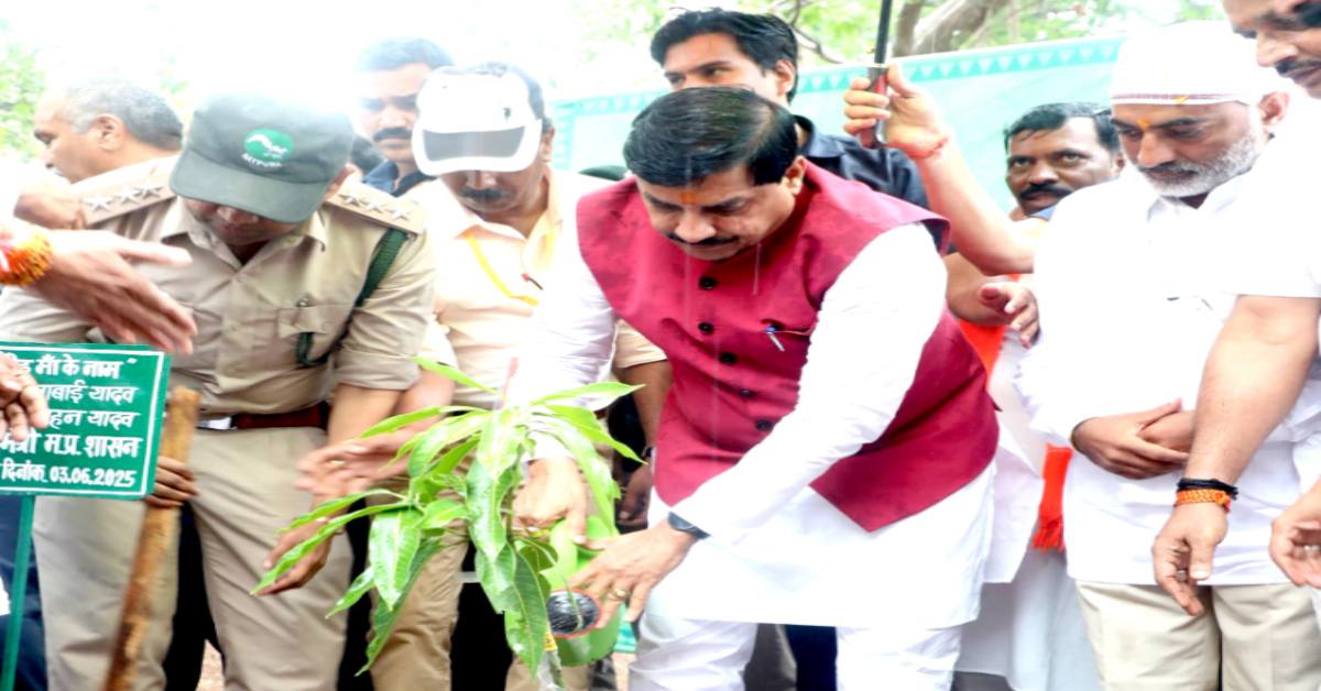 पचमढ़ी से अद्भुत तस्वीर: CM डॉ मोहन ने बरसते पानी में पौधा रोपा, राजा भभूत सिंह का किया स्मरण, कहा- कश्मीर को याद दिलाता है Pachmarhi