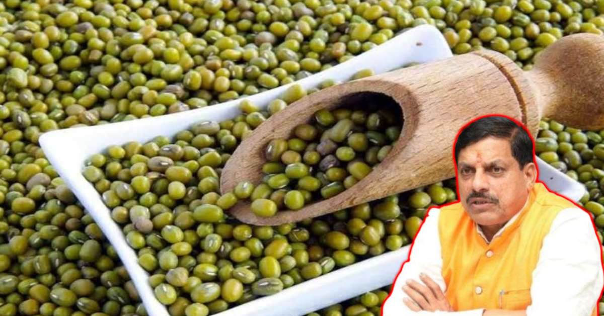 MP में मूंग खरीदी को लेकर बड़ा अपडेट: सीएम डॉ मोहन  का बयान आया सामने, जानें क्या कुछ कहा…