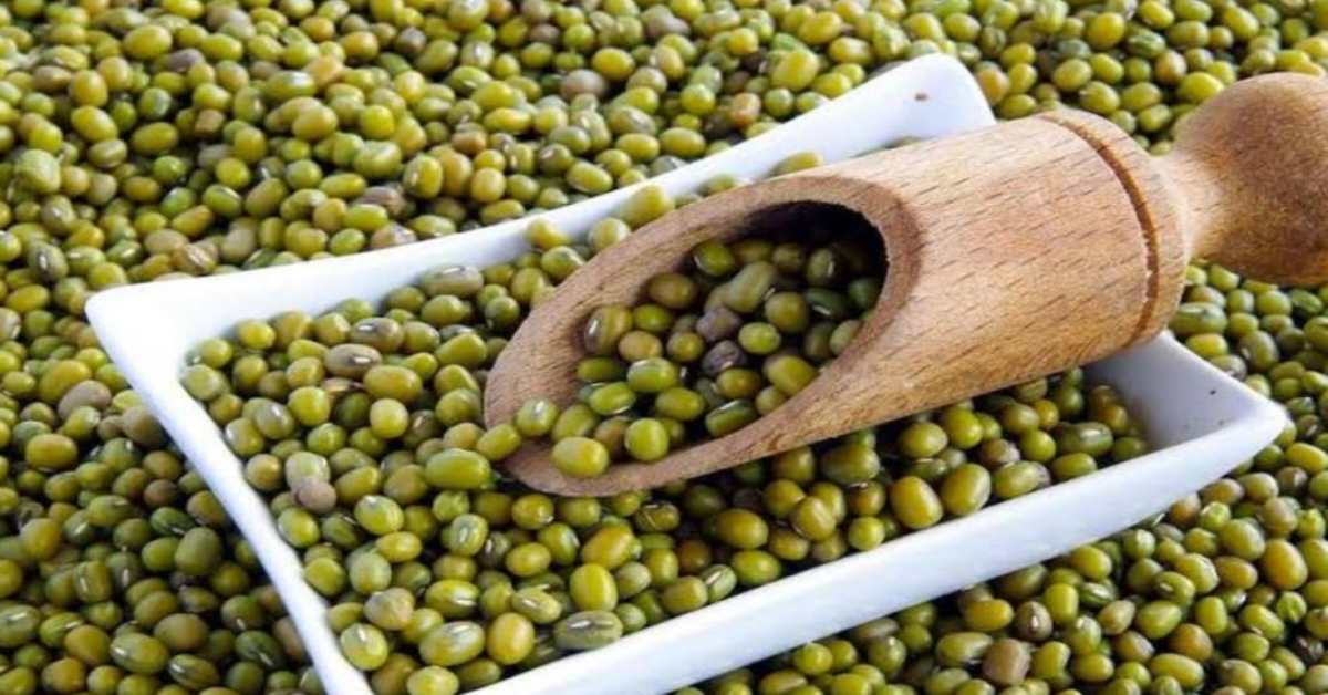 MP में मूंग खरीदी में गड़बड़ी: जिस कंपनी को किया ब्लैकलिस्ट उसे ही दे दिया टेंडर, दो कंपनियों पर लगे ये आरोप