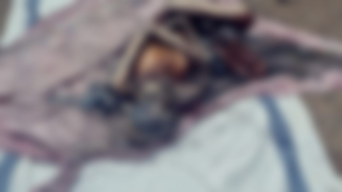 नाले में महिला का नर कंकाल मिलने से सनसनी: हत्या कर फेंके जानें की आशंका, तेज बदबू आने से हुआ खुलासा  