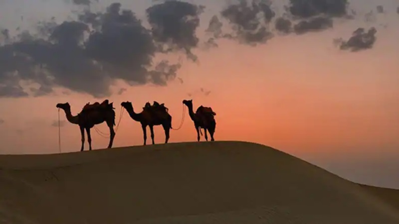 Rajasthan Weather News: राजस्थान में बदला मौसम का मिजाज; बीकानेर-अलवर में पारा 40 के पार, 23 से अधिक जिलों में आंधी-बारिश का ऑरेंज अलर्ट