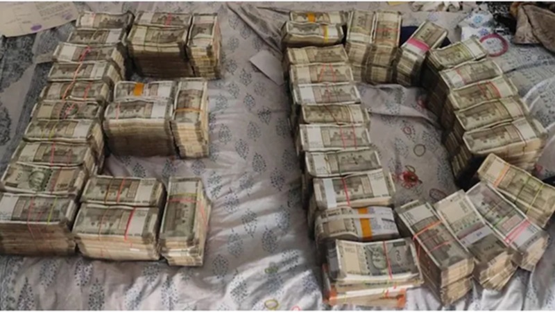 Rajasthan News: राजस्थान-गुजरात में ईडी की बड़ी कार्रवाई: 2700 करोड़ के नेक्सा एवरग्रीन घोटाले में 25 ठिकानों पर छापेमारी