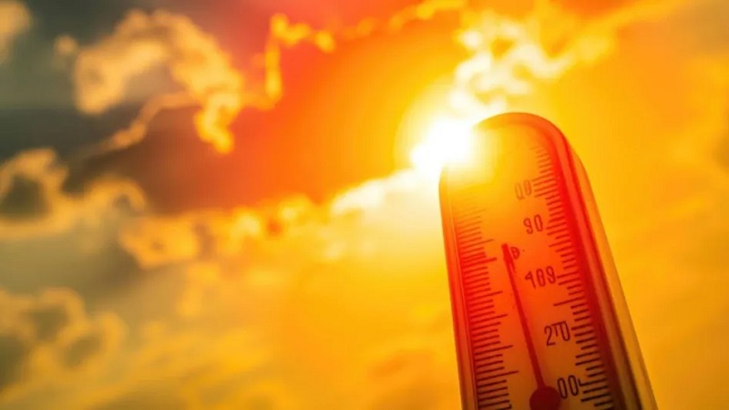 Rajasthan News: राजस्थान में भीषण गर्मी का कहर, जयपुर का पारा 45°C पार, 18 जिलों में लू का रेड अलर्ट