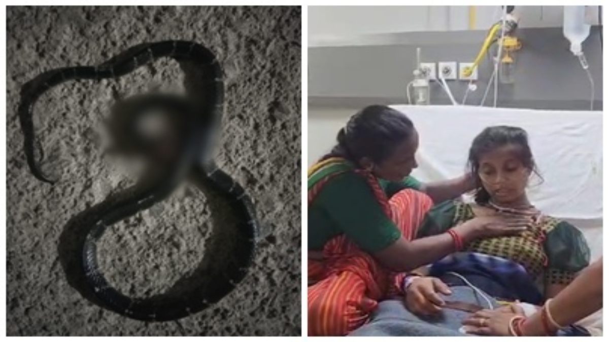 मां और 4 माह के मासूम को सांप ने डसा: तड़प-तड़प कर बच्चे ने तोड़ा दम, अस्पताल में जिंदगी और मौत के बीच की जंग लड़ रही महिला    