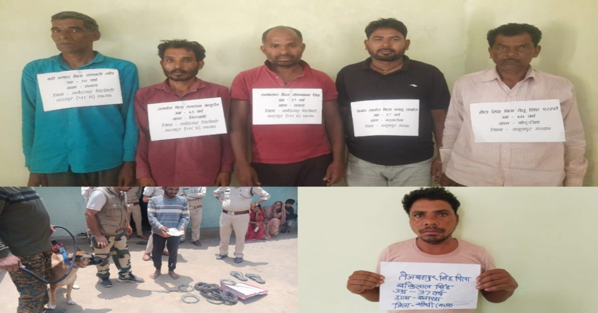 चंद पैसों के लिए वन्यजीवों का शिकार: MP-CG के 6 तस्कर गिरफ्तार, तेंदुए का नाखून-मूंछ के बाल, खाल और हड्डियां जब्त