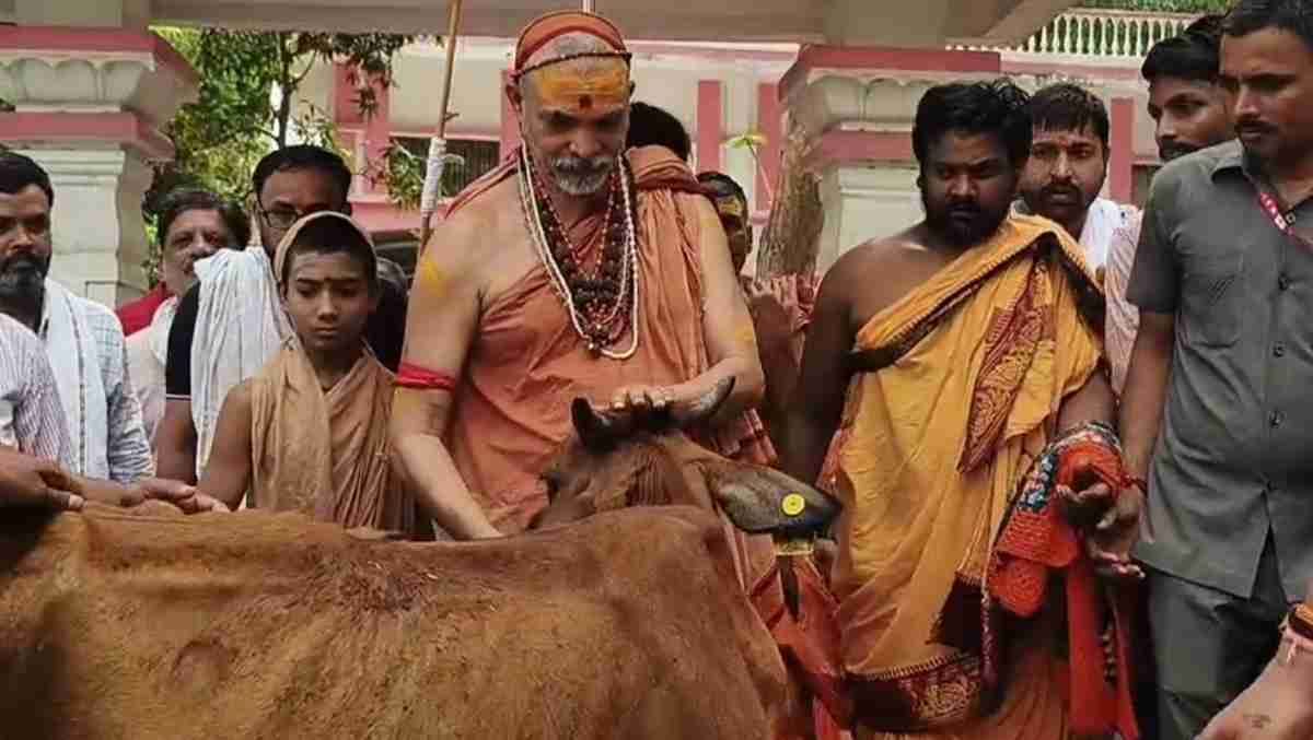 गाय को राष्ट्रमाता घोषित करने गौ संरक्षण पदयात्रा, शंकराचार्य स्वामी अविमुक्तेश्वरानंद ने दिखाई हरी झंडी, नरसिंहपुर से PM आवास तक चलेंगे पैदल 