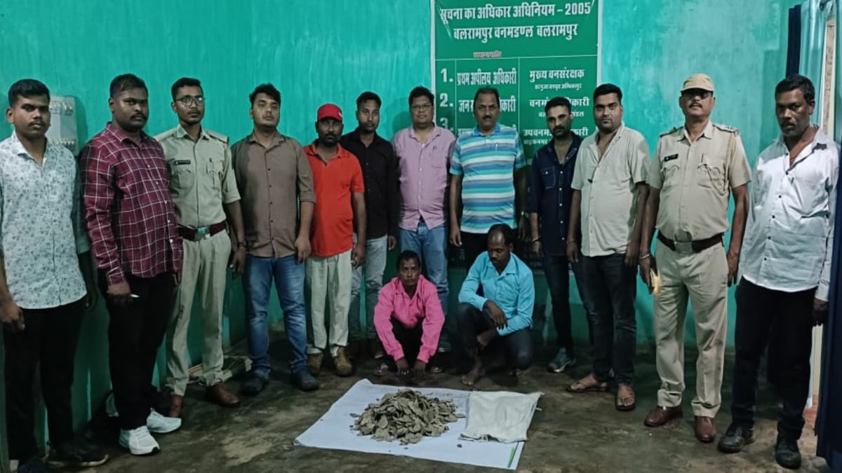 वन विभाग की बड़ी कार्रवाई: पैंगोलिन की 6 किलो स्केल के साथ दो तस्करों को किया गिरफ्तार, अंतरराष्ट्रीय बाजार में करोड़ों में है इसकी कीमत