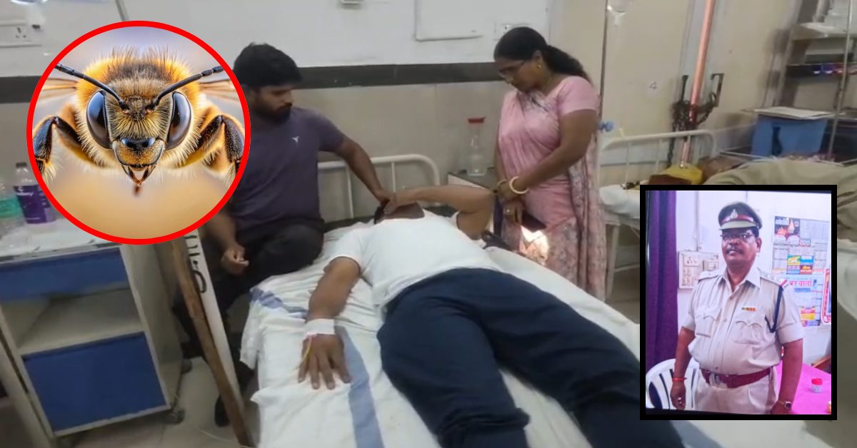 पुलिस ट्रेनिंग स्कूल में मधुमक्खियों का हमला: एक निरीक्षक की मौत, 6 अधिकारी-जवान घायल, अस्पताल में इलाज जारी…