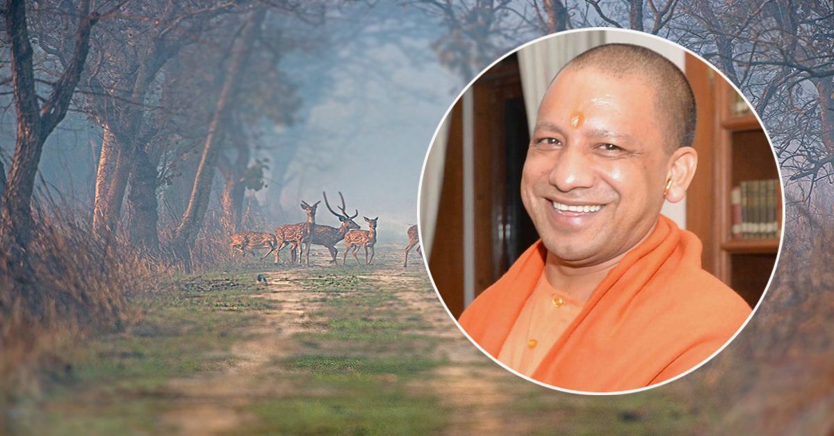 योगी सरकार का बड़ा फैसला : मानसून में खुला रहेगा मोहम्मदी रेंज, बरसात के मौसम में भी सैलानियों को मिलेगा जंगल सफारी का मजा