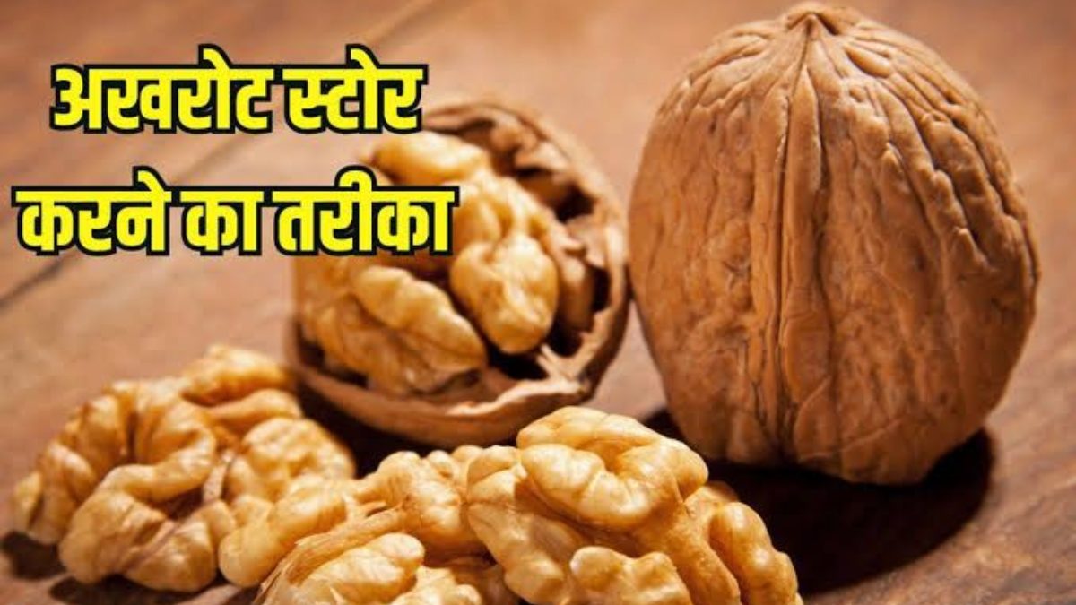 Walnut Storage Tips : घर में अखरोट को स्टोर करने के ये हैं बेस्ट तरीके, 6 महीने तक की टेंशन खत्म 