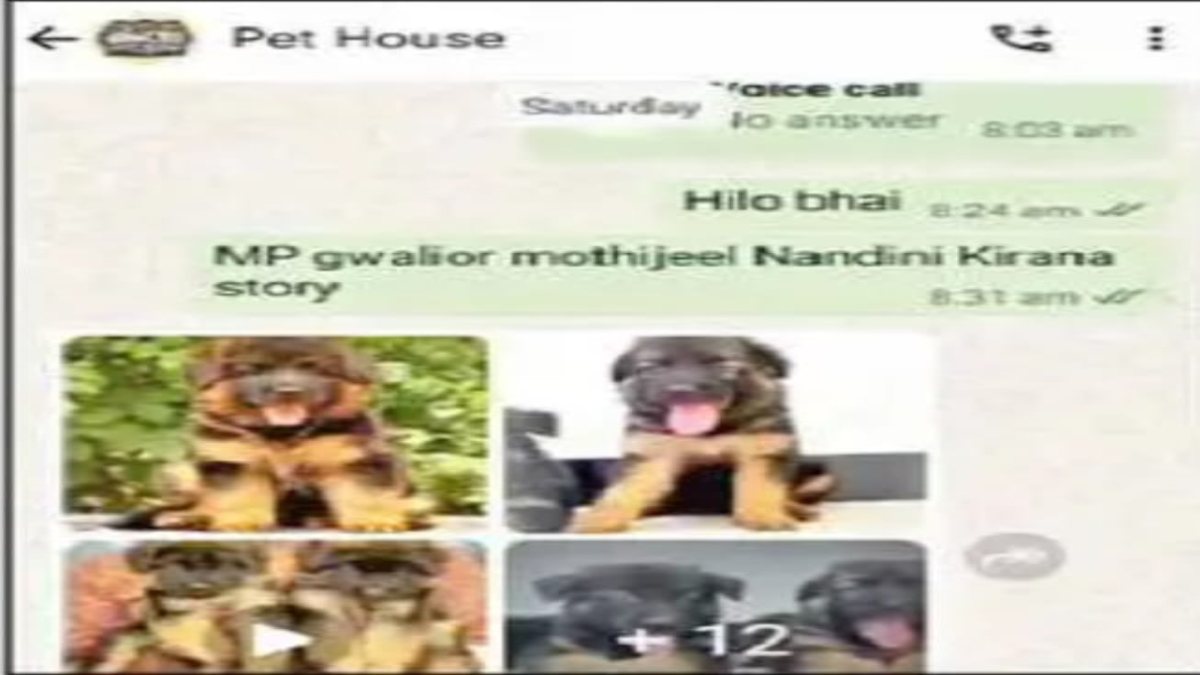 ऑनलाइन डॉग खरीदी के नाम पर धोखाधड़ीः ट्रांसपोर्ट कारोबारी की पत्नी से पौने दो लाख की ठगी, महिला ने जहर खाकर दे दी जान