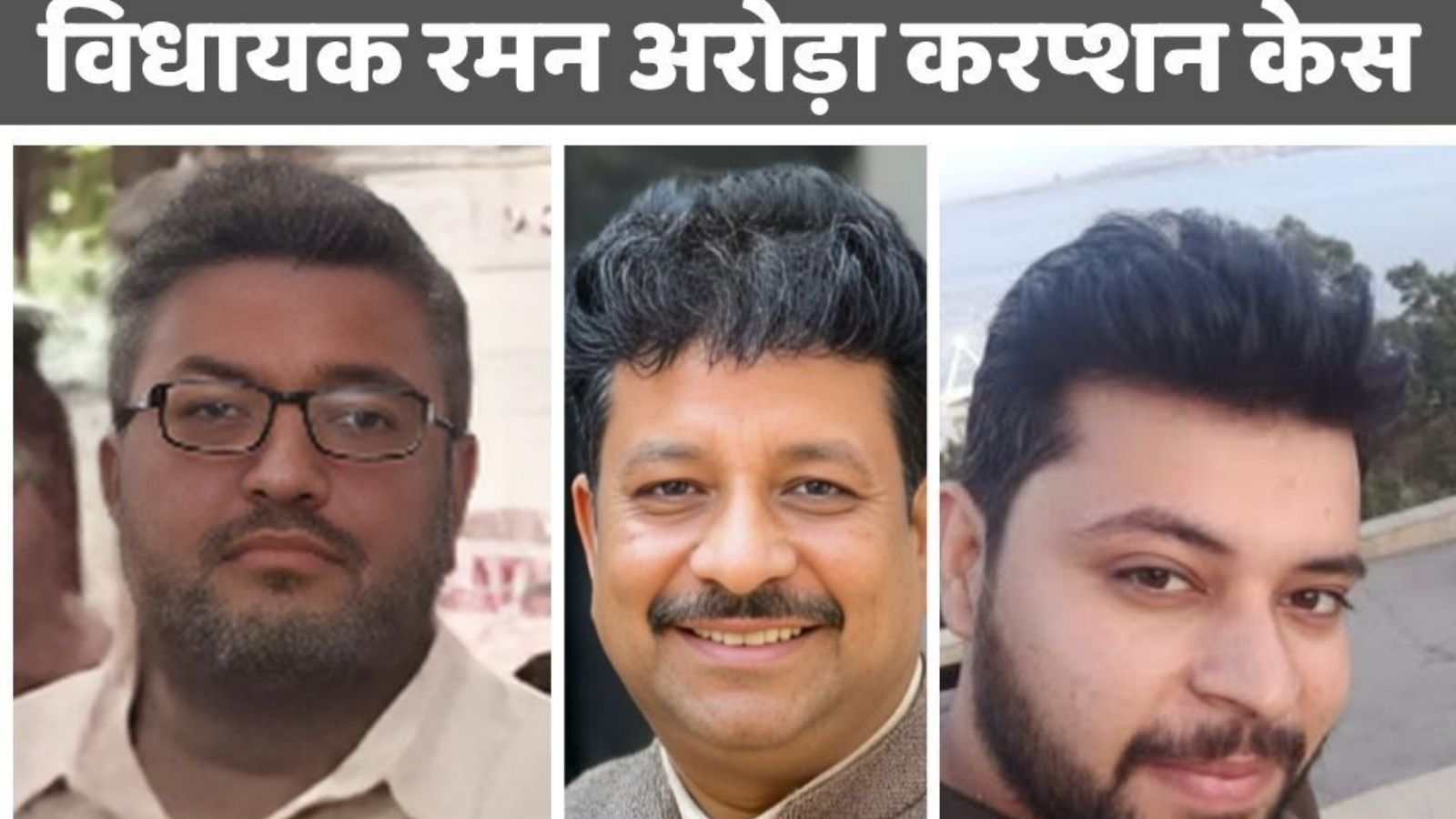 आम आदमी पार्टी के विधायक रमन अरोड़ा के बेटे राजन अरोड़ा की अग्रिम जमानत याचिका खारिज