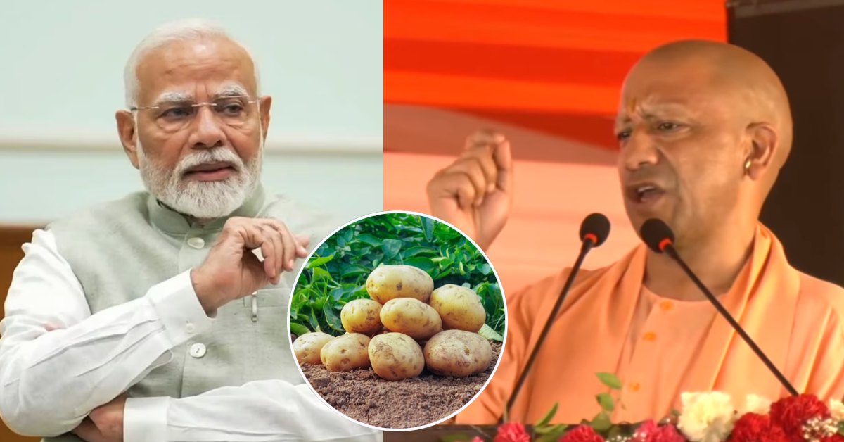 आगरा में बनेगा अंतरराष्ट्रीय आलू केंद्र : CM योगी ने PM मोदी का जताया आभार, कहा- कृषि आधारित रोजगार को मिलेगी नई दिशा