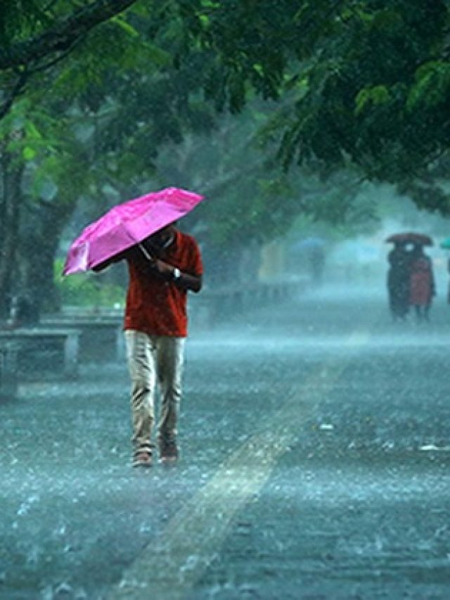 Weather Update: यूपी के 11 जिलों में भारी बारिश का अलर्ट, जानें कहां-कहां बरसेंगे बादल