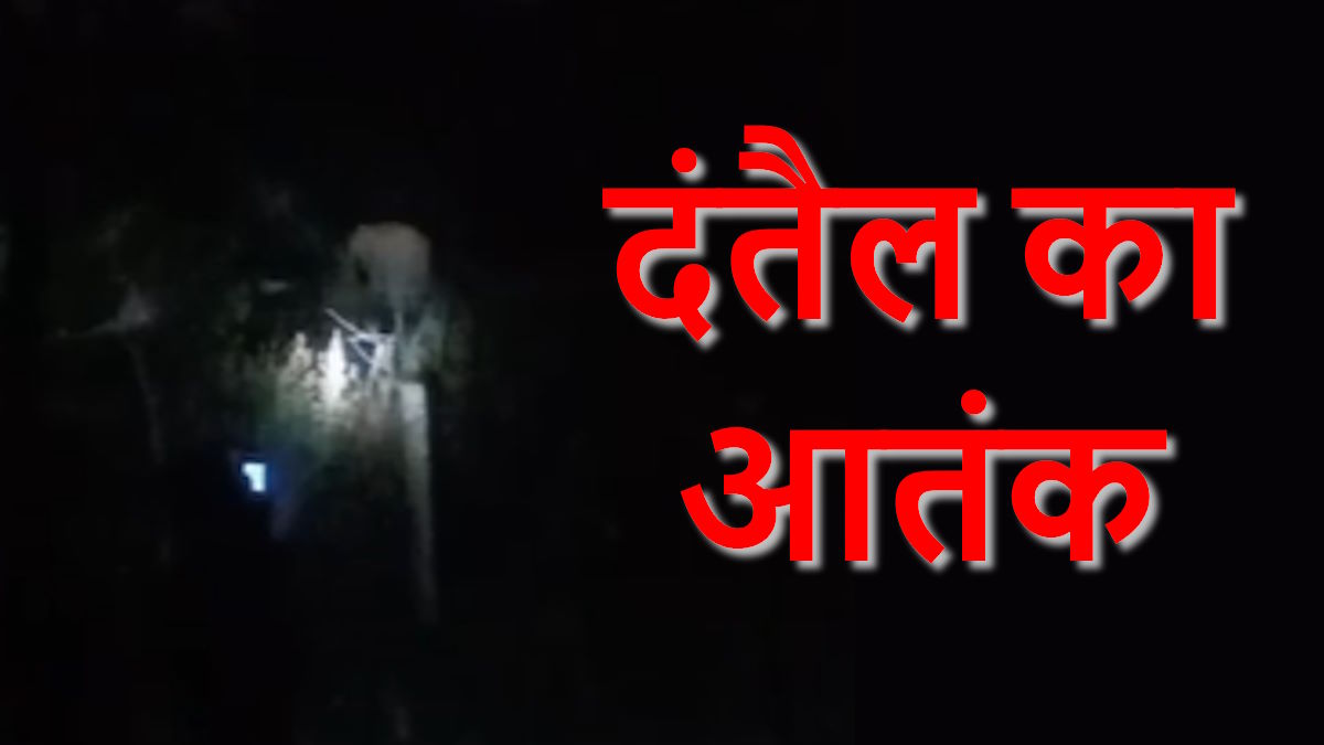 दंतैल के आतंक से ग्रामीण दहशतजदा, घर तोड़कर किया अनाज को सफाचट