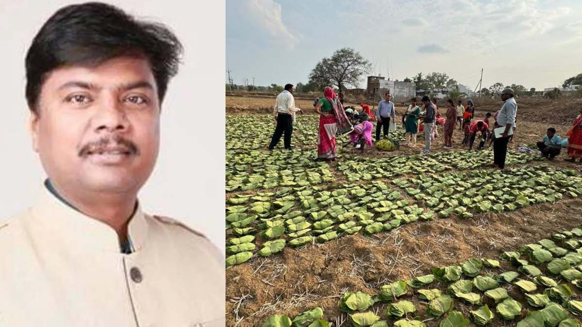 छात्रवृत्ति योजना से लाभान्वित हुए 38 हजार से अधिक मेधावी बच्चे, वन मंत्री केदार कश्यप ने कहा – तेंदूपत्ता संग्राहकों के बच्चों को शिक्षा में मदद देने की महत्वपूर्ण पहल