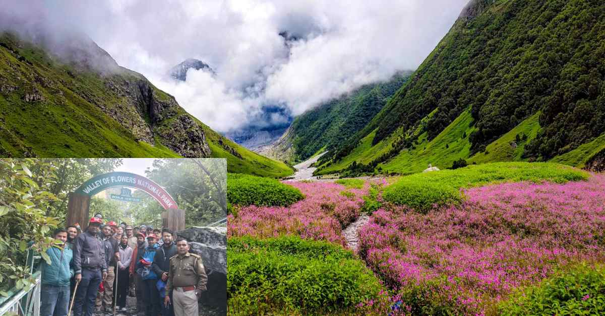 Valley of Flowers : पर्यटकों के खुली फूलों की घाटी, 300 से ज्यादा प्रजातियों के मिलेंगे फूल