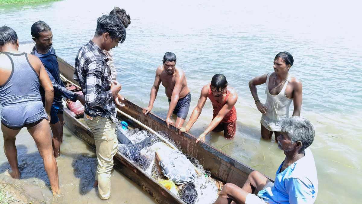 काल के गाल में समाया युवक: 2 चचेरे भाई नर्मदा नदी में डूबे, एक की मौत, दूसरे के लिए देवदूत बनी किशोरी