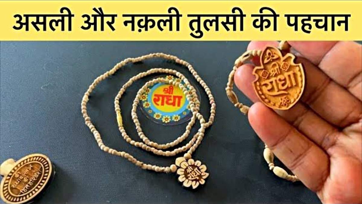 कहीं आप भी तो नहीं पहन रहे नकली तुलसी माला? जानिए कैसे करें असली-नकली की पहचान…