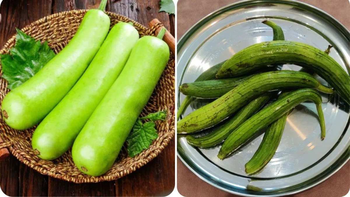 कहीं आप भी तो नहीं ले रहे केमिकल वाली तोरई और लौकी? यहाँ जानें पहचान का सही तरीका