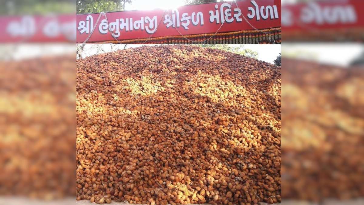 Coconut Hanuman Temple: 700 सालों से नहीं सड़ा एक भी नारियल, लाखों नारियल के पहाड़ पर विराजमान हैं हनुमान जी