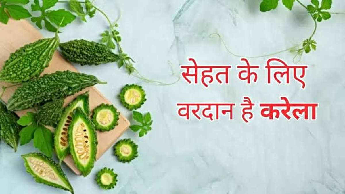 Benefits Of Eating Bitter Gourd: अपनी डाइट में जरूर शामिल करें कड़वा करेला, फायदे जानकर रह जाएंगे हैरान