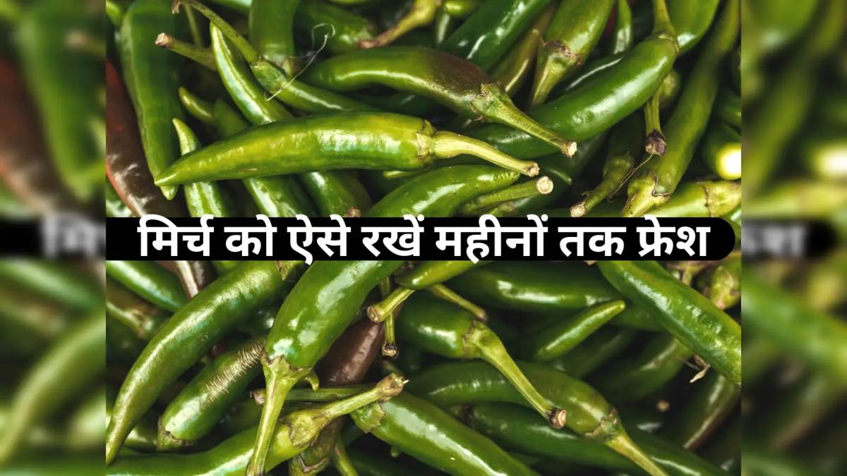 अब नहीं सड़ेगी हरी मिर्च, बस इस तरह से करें स्टोर