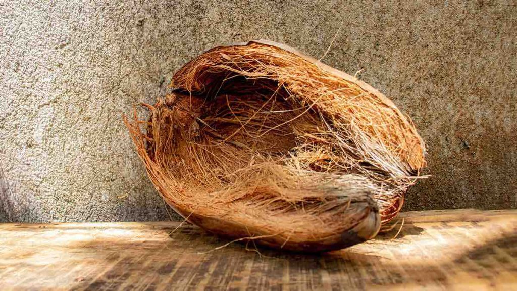 Coconut Shell Benefits