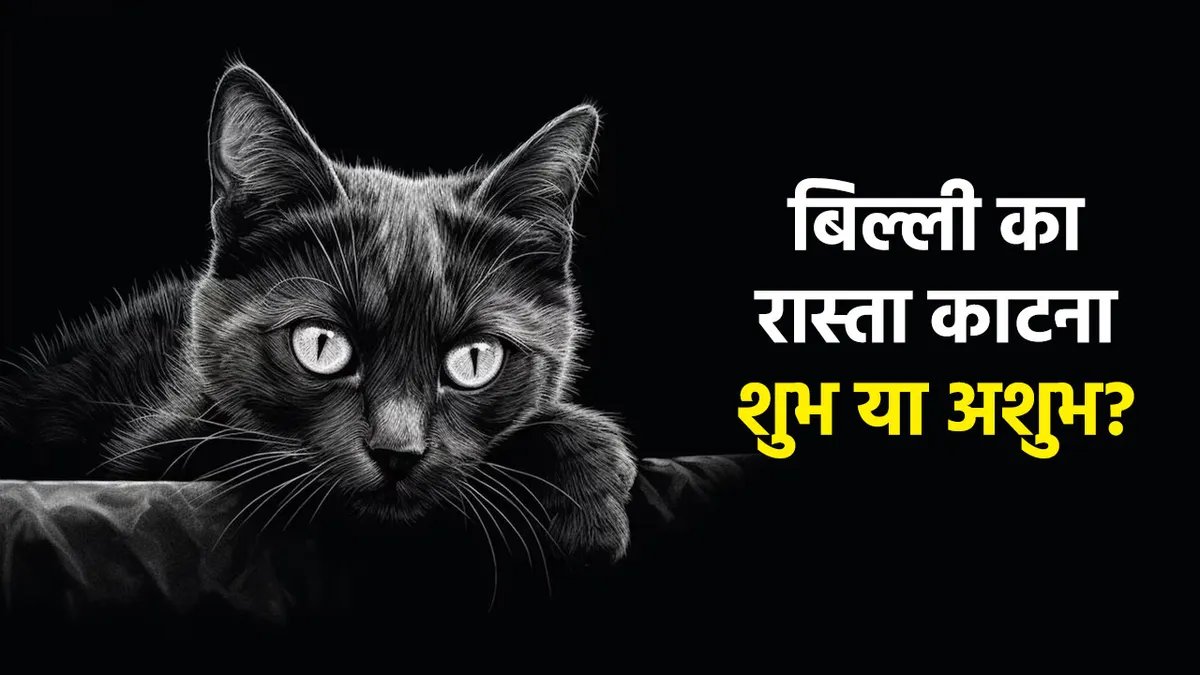 काली बिल्ली का रास्ता काटना, शुभ या अशुभ?
