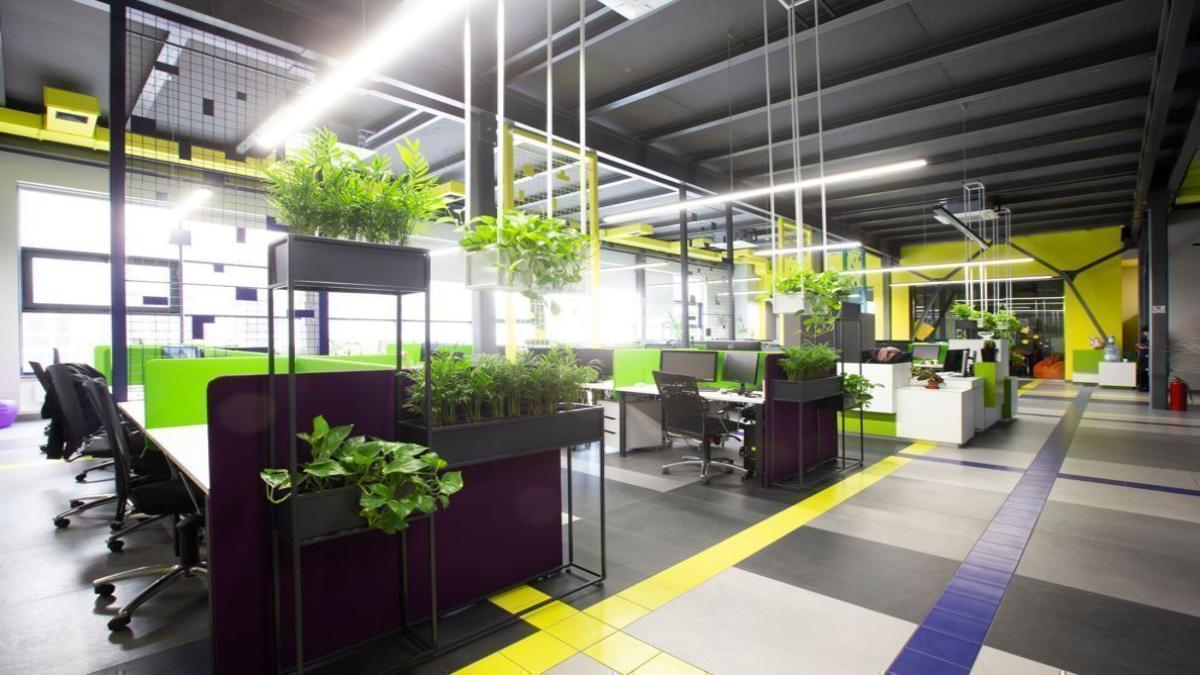 Vastu Plants For Office: ऑफिस डेस्क पर रखें ये 7 पौधे, तेजी से होगी तरक्की