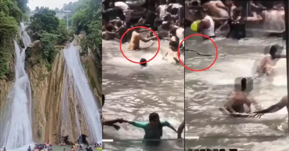 ओ भाई! ‘यमराज’ तो बाजू से गुजर गए…वॉटरफॉल में मजे से नहा रहे थे सैलानी, पानी में सरसराते हुए आया सांप, फिर जो हुआ… देखें VIDEO