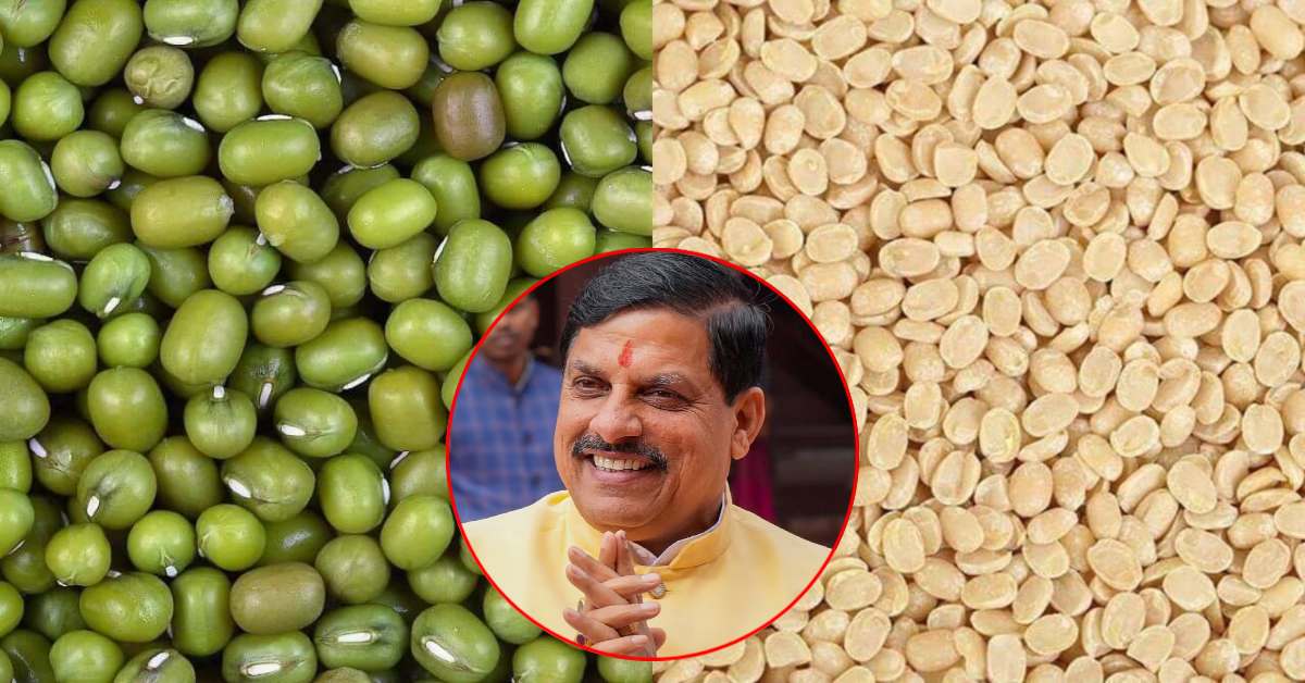 किसानों से जुड़ी बड़ी खबर: मूंग और उड़द की खरीदी के लिए 19 जून से रजिस्ट्रेशन, इतने रुपये प्रति क्विंटल बिकेगी फसल