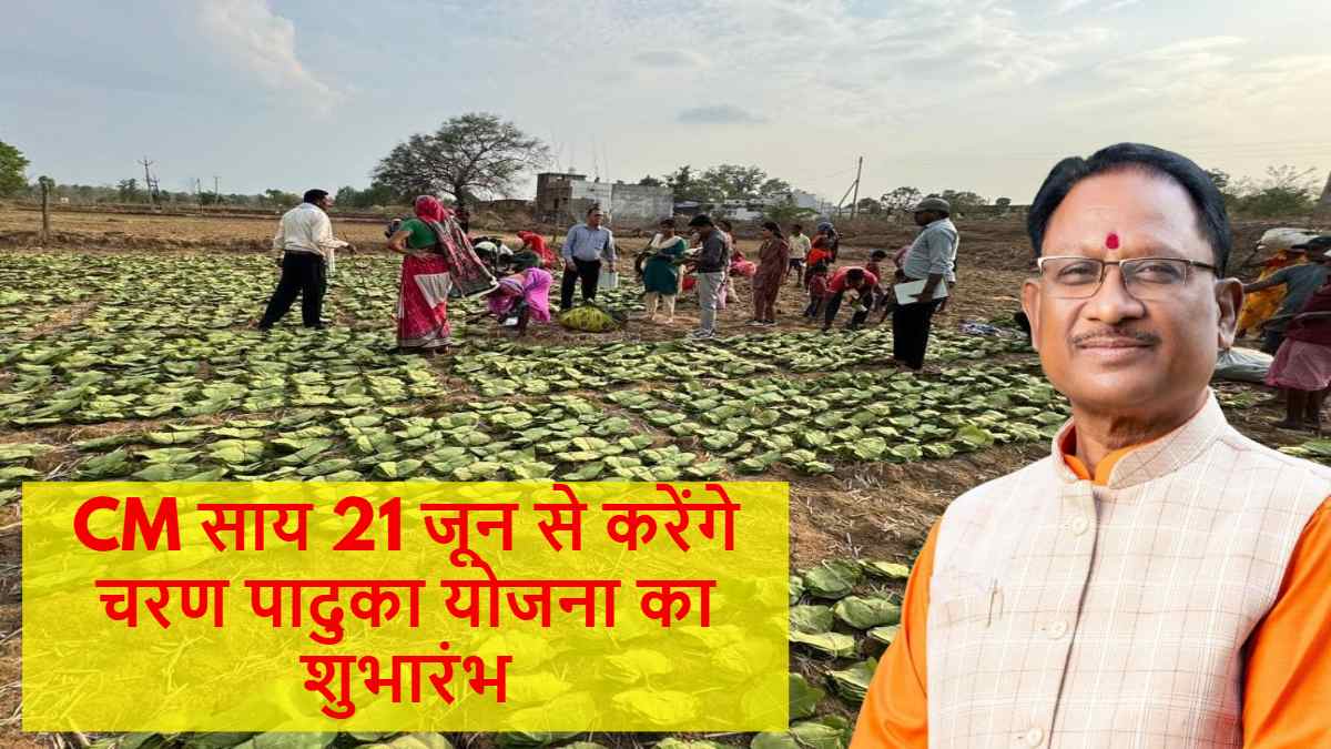 तेंदूपत्ता संग्राहकों को मिलेगी चरण पादुका : CM साय 21 जून को करेंगे योजना का शुभारंभ, जशपुर जिले के तपकरा से होगी शुरूआत …