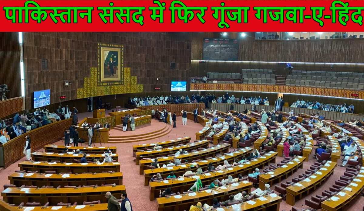‘कलमे की ताकत एटम बम से ज्यादा’, भारत का नाम लेकर पाकिस्तानी सांसद ने कही गजवा-ए-हिंद की बात, मेज पीटने लगे MP