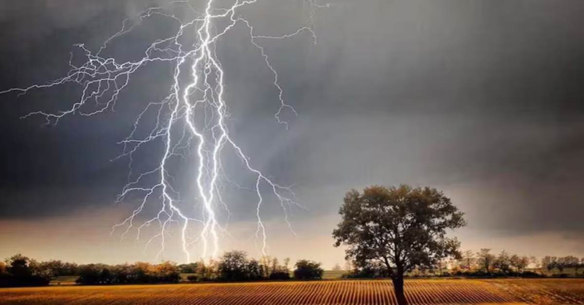 आसमान से बरसी मौतः बकरियां और भैंस चरा रहे थे बच्चे, तभी गिरी आकाशीय बिजली और बिछ गई लाशें