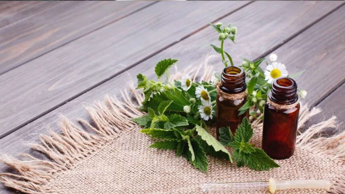 बालों के लिए संजीवनी है भृंगराज का तेल, जानिए इसके फायदे