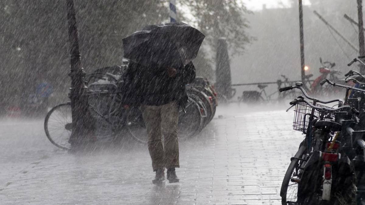 मानसून में घर से निकलने से पहले जरूर रख लें ये सभी चीजें, ताकि ना हो बारिश का मजा खराब