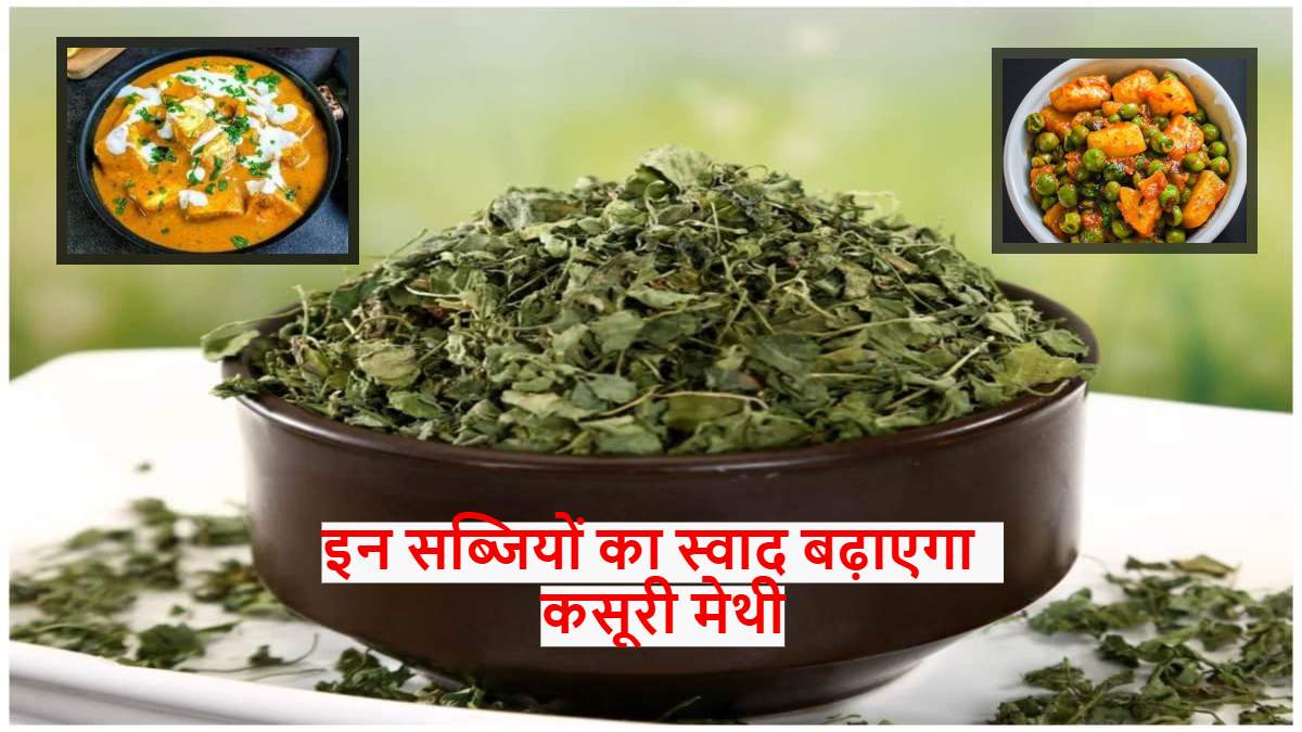 Kitchen Tips : इन सब्जियों में कसूरी मेथी का तड़का लगाने से कई गुना बढ़ जाता है स्वाद, खुशबू से हो जाएंगे सब दीवाने …