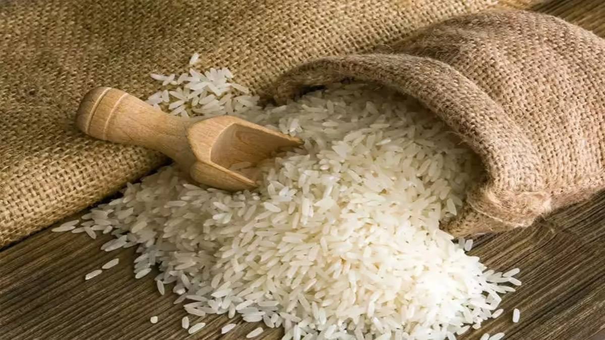 भारत के बासमती चावल ने रचा नया इतिहास: 1,923 करोड़ की रिकॉर्ड ग्रोथ, 154 देशों तक पहुंची खुशबू