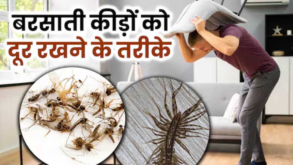 बरसात में कीड़ों-मकोड़ों से परेशान? घर पर बनाएं यह नैचुरल स्प्रे जो कीड़ों से रखें दूर