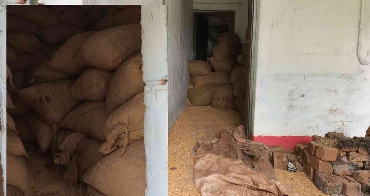 CG News : 500 से अधिक कट्‌टे धान का अवैध भंडारण, संदेह के दायरे में धान खरीदी केंद्र प्रबंधन